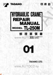 Tadano Truck Crane TL-250M-5    Tadano Truck Crane TL-250M-5   ( )