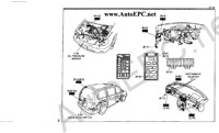 Kia Carnival/Sedona    Carnival/Sedona,  ,   Kia,  
