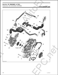 Bombardier Ski-Doo    , ,  ,  