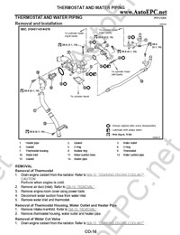 Infiniti QX56 JA60  2004-2008,     QX56, , ,   Infiniti,   ,      QX 56     