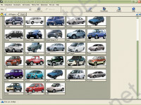    Suzuki (),         