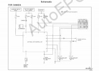 Infiniti QX56 JA60  2007->,     QX56, , ,  Infiniti,   ,      QX 56     