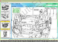 Toyota & Lexus EPC All Markets 2011   Toyota ()  Lexus (),    , ,    