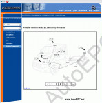    Nuovo Fiat Ducato X250 (  X250)