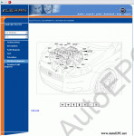      Fiat Grande Punto (  )