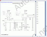       Fiat Strada (  )