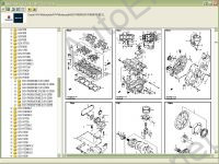    Suzuki ()   C