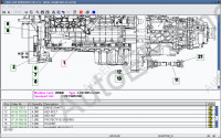 Liebherr Lidos LWE ONLINE - Mobile Cranes         - Liebherr Cranes 